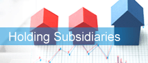 Holding Subsidiaries